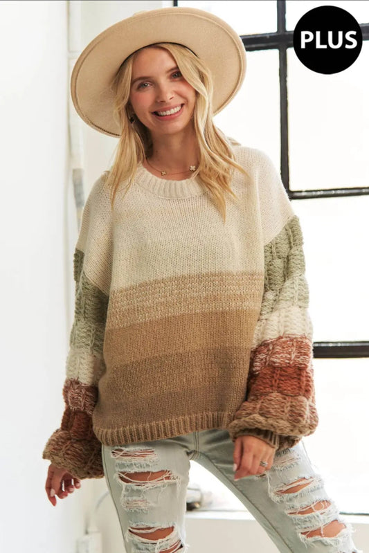 In Store Plus Multi Color Sweater
